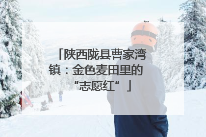 陕西陇县曹家湾镇：金色麦田里的“志愿红”