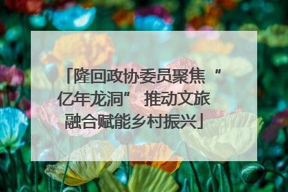 隆回政协委员聚焦“亿年龙洞” 推动文旅融合赋能乡村振兴