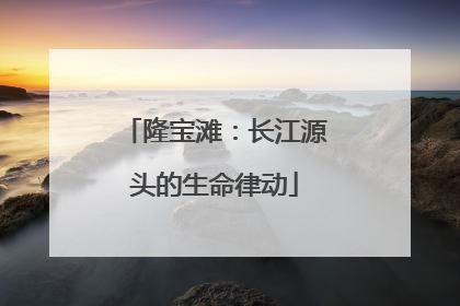 隆宝滩：长江源头的生命律动