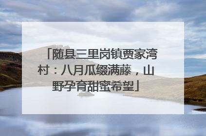 随县三里岗镇贾家湾村：八月瓜缀满藤，山野孕育甜蜜希望