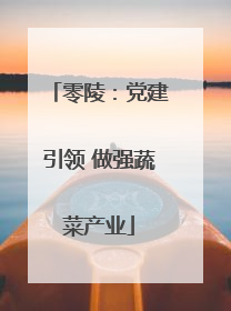 零陵：党建引领 做强蔬菜产业