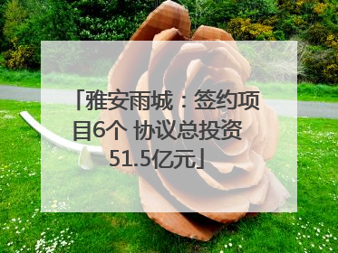 雅安雨城：签约项目6个 协议总投资51.5亿元