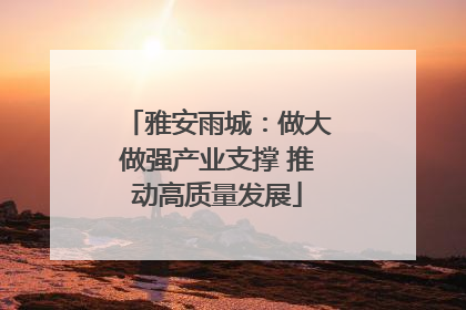 雅安雨城：做大做强产业支撑 推动高质量发展