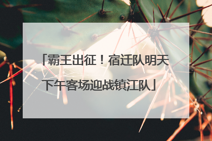 霸王出征！宿迁队明天下午客场迎战镇江队