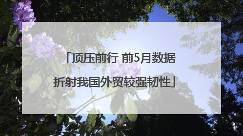 顶压前行 前5月数据折射我国外贸较强韧性