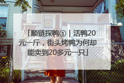 顺链探鸭①｜活鸭20元一斤，街头烤鸭为何却能卖到20多元一只