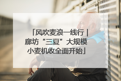 风吹麦浪一线行｜廊坊“三夏”大规模小麦机收全面开始