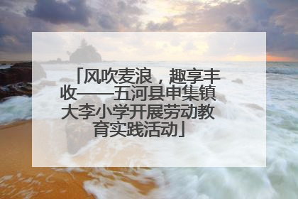 风吹麦浪，趣享丰收——五河县申集镇大李小学开展劳动教育实践活动