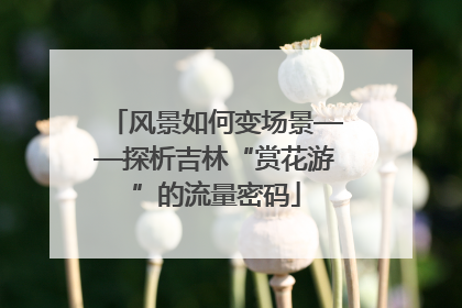 风景如何变场景——探析吉林“赏花游”的流量密码