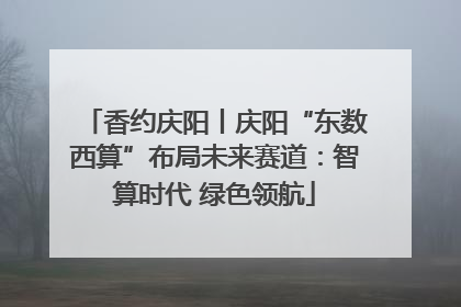 香约庆阳丨庆阳“东数西算”布局未来赛道：智算时代 绿色领航