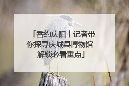 香约庆阳丨记者带你探寻庆城县博物馆 解锁必看重点