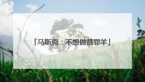 马斯克：不想做替罪羊