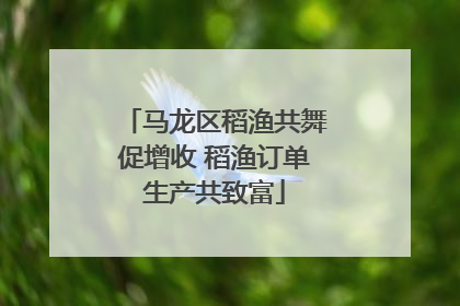 马龙区稻渔共舞促增收 稻渔订单生产共致富