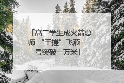 高二学生成火箭总师 “手搓”飞燕一号突破一万米