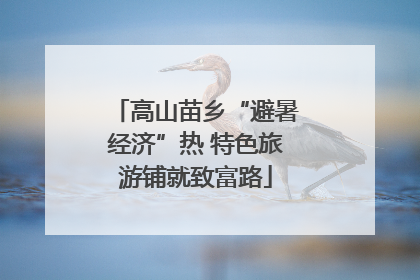 高山苗乡“避暑经济”热 特色旅游铺就致富路