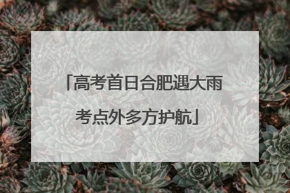 高考首日合肥遇大雨 考点外多方护航