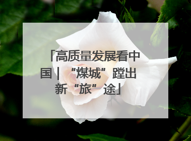 高质量发展看中国｜“煤城”蹚出新“旅”途