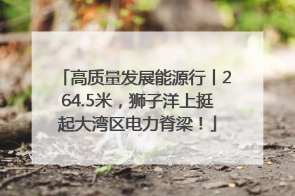 高质量发展能源行丨264.5米，狮子洋上挺起大湾区电力脊梁！