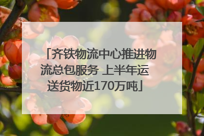 齐铁物流中心推进物流总包服务 上半年运送货物近170万吨
