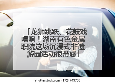 龙狮跳跃、花鼓戏唱响！湖南有色金属职院这场沉浸式非遗游园活动很带感