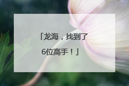 龙海，找到了6位高手！