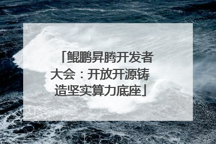 鲲鹏昇腾开发者大会：开放开源铸造坚实算力底座