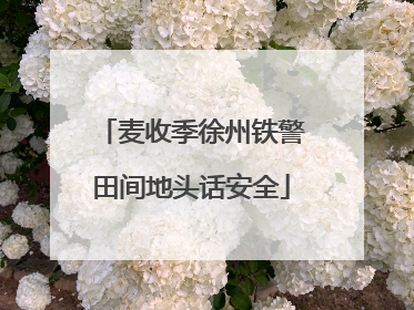 麦收季徐州铁警田间地头话安全