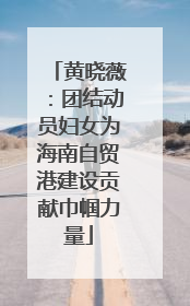 黄晓薇：团结动员妇女为海南自贸港建设贡献巾帼力量