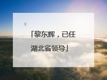 黎东辉，已任湖北省领导