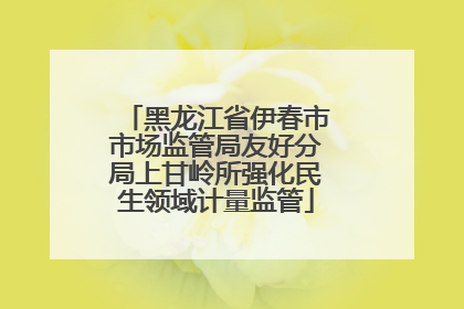 黑龙江省伊春市市场监管局友好分局上甘岭所强化民生领域计量监管