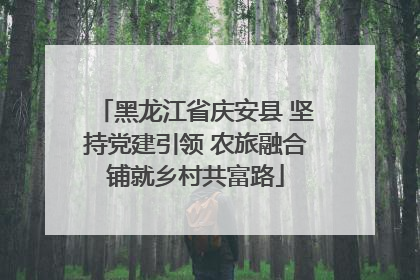 黑龙江省庆安县 坚持党建引领 农旅融合铺就乡村共富路