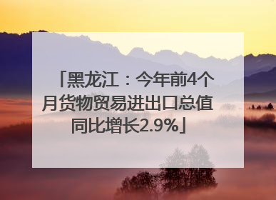 黑龙江：今年前4个月货物贸易进出口总值同比增长2.9%
