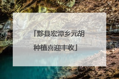黟县宏潭乡元胡种植喜迎丰收