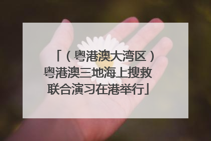 （粤港澳大湾区）粤港澳三地海上搜救联合演习在港举行