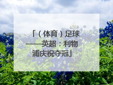 （体育）足球——英超：利物浦庆祝夺冠