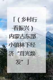 （乡村行·看振兴）内蒙古东部小镇林下经济“茸光焕发”