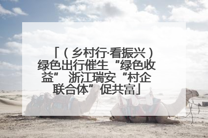 （乡村行·看振兴）绿色出行催生“绿色收益” 浙江瑞安“村企联合体”促共富