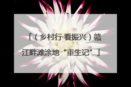 （乡村行·看振兴）赣江畔滩涂地“重生记”
