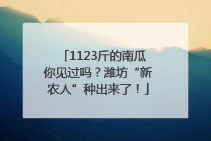 1123斤的南瓜你见过吗？潍坊“新农人”种出来了！