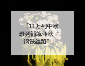 11万列中欧班列铺就亚欧“钢铁丝路”