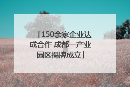 150余家企业达成合作 成都一产业园区揭牌成立