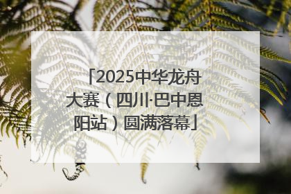 2025中华龙舟大赛（四川·巴中恩阳站）圆满落幕