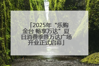 2025年“乐购金台 畅享万达”夏日消费季暨万达广场开业正式启幕