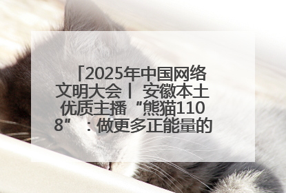 2025年中国网络文明大会丨 安徽本土优质主播“熊猫1108”：做更多正能量的事情 带给大家快乐
