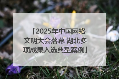 2025年中国网络文明大会落幕 湖北多项成果入选典型案例