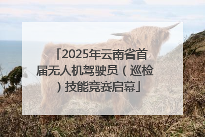 2025年云南省首届无人机驾驶员（巡检）技能竞赛启幕