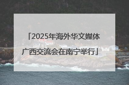 2025年海外华文媒体广西交流会在南宁举行