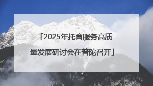 2025年托育服务高质量发展研讨会在普陀召开