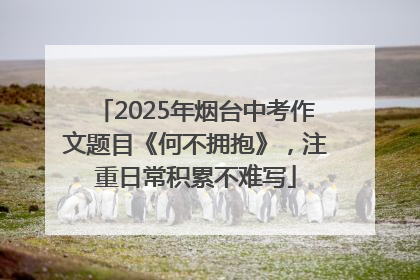 2025年烟台中考作文题目《何不拥抱》，注重日常积累不难写