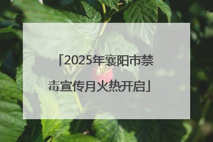 2025年襄阳市禁毒宣传月火热开启